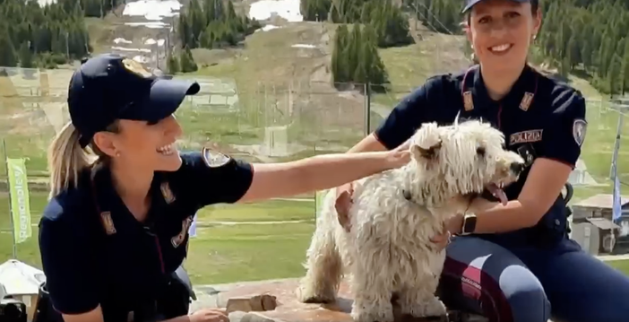 Estate e animali: la Polizia lancia l’allarme contro gli abbandoni