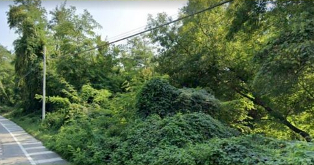 Giornata ecologica per ripulire via per Possaccio Giornata ecologica per ripulire via per Possaccio