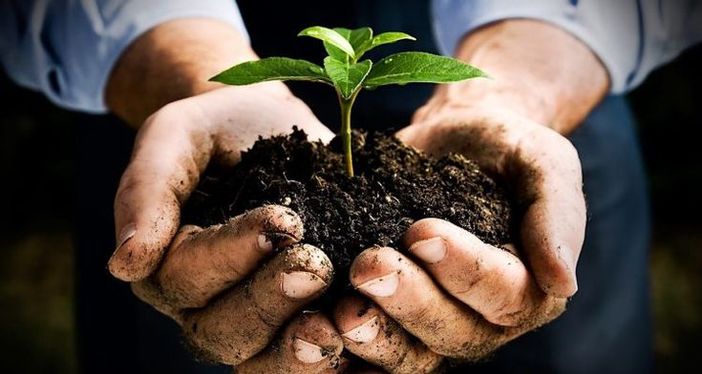 Confagricoltura Piemonte: "Infortuni sul lavoro in calo. L'agricoltura in prima linea nella difesa dei suoi lavoratori”