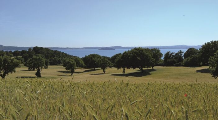 Agroforestazione e cambiamento climatico, a Verbania due giornate di formazione Agroforestazione e cambiamento climatico, a Verbania due giornate di formazione