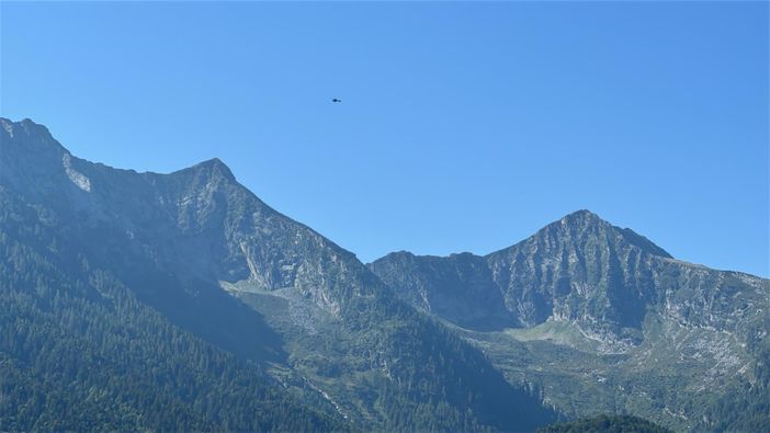 Orso in Val Grande, i carabinieri forestali: "Non si creino allarmismi, le forze dell'ordine sono presenti sul territorio" Orso in Val Grande, i carabinieri forestali: "Non si creino allarmismi, le forze dell'ordine sono presenti sul territorio"