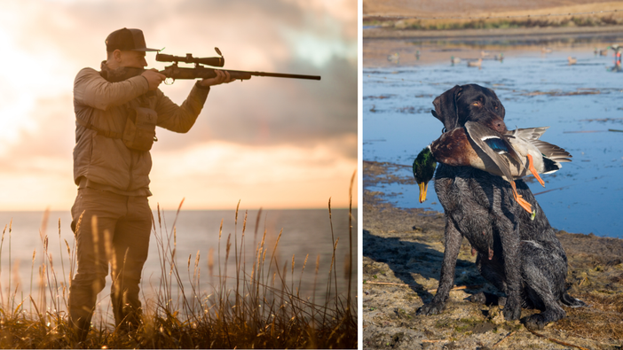 Il Tar ha deliberato: la caccia continua, a eccezione di quattro specie.