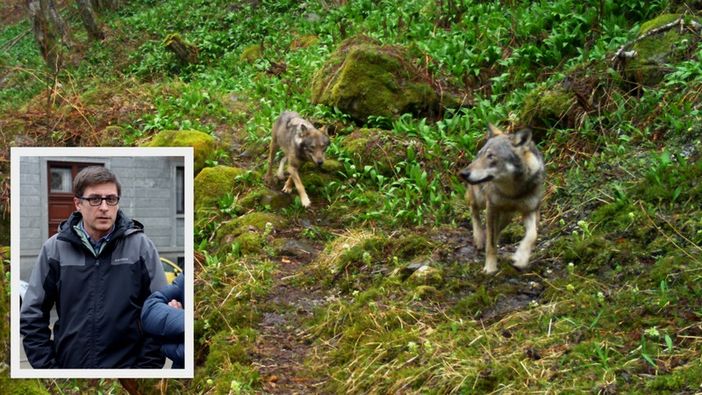 ''C'è già un tavolo qualificato di lavoro sul problema del lupo''