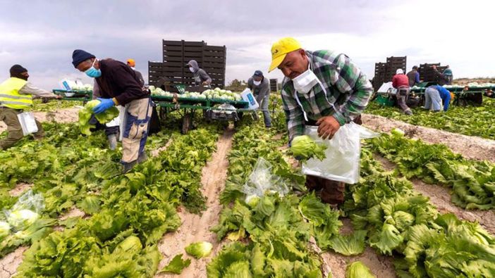 "Il Piemonte può essere modello contro lo sfruttamento lavorativo” "Il Piemonte può essere modello contro lo sfruttamento lavorativo”
