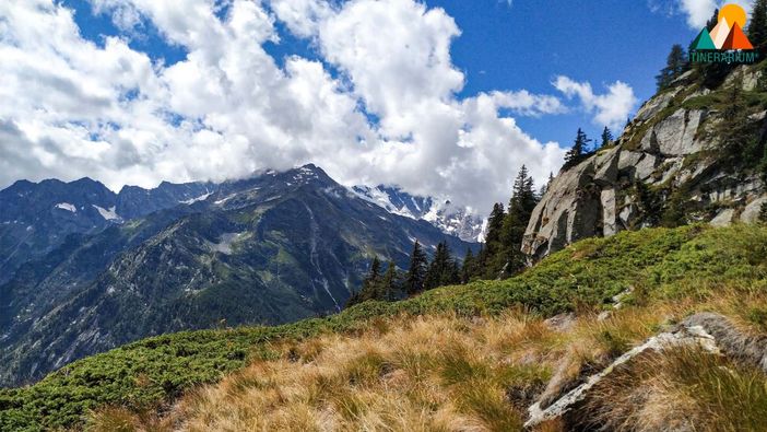 Escursione all'Alpe Cicerwald e all'Alpe Tore Escursione all'Alpe Cicerwald e all'Alpe Tore