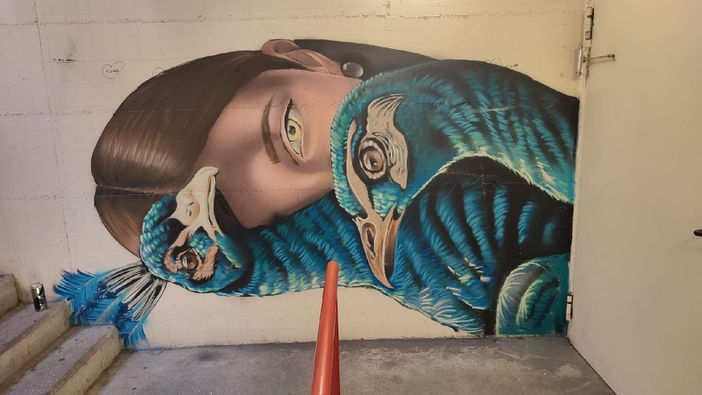 Street art contro i vandalismi al parcheggio Rosmini di Intra