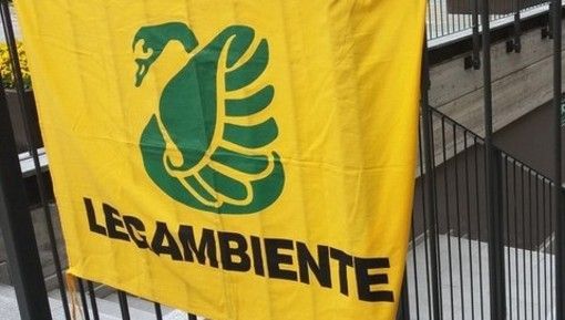 Calo delle piantumazioni nel 2023: nuovi alberi in calo, ma i benefici rimangono elevati Calo delle piantumazioni nel 2023: nuovi alberi in calo, ma i benefici rimangono elevati