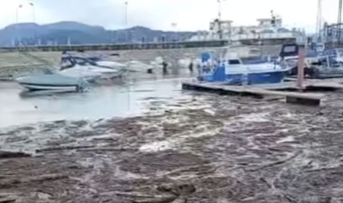 Torna la "buzza": il comune di Verbania autorizza la raccolta della legna Torna la "buzza": il comune di Verbania autorizza la raccolta della legna