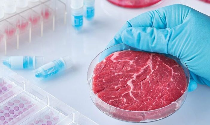 Coldiretti Novara-Vco: "Da allergie al cancro, i rischi del cibo sintetico nel rapporto Fao" Coldiretti Novara-Vco: "Da allergie al cancro, i rischi del cibo sintetico nel rapporto Fao"