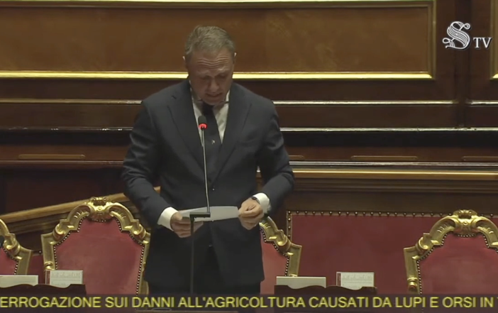 Contenimento dei lupi, il sindaco di Malesco: “Finalmente qualcosa sembra muoversi” Contenimento dei lupi, il sindaco di Malesco: “Finalmente qualcosa sembra muoversi”
