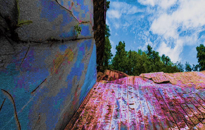 Tones Teatro Natura ospita &quot;Future Buzz&quot;, un'opera collettiva degli studenti del Vco