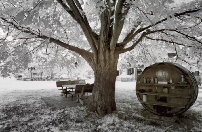 Gli italiani tornano a scegliere gli agriturismi, Coldiretti: "Superati i dati pre-pandemia" Gli italiani tornano a scegliere gli agriturismi, Coldiretti: "Superati i dati pre-pandemia"