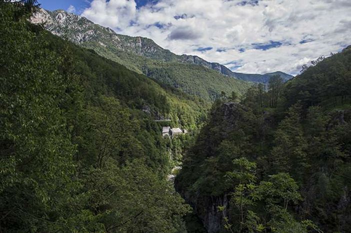 Trasformazione del bosco: la giunta abbassa a 10.000 euro l’importo base per il calcolo della compensazione
