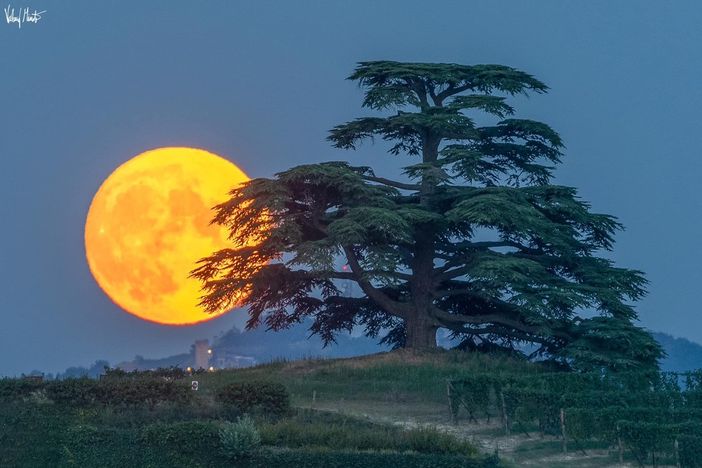 Foto: Valerio Minato Foto: Valerio Minato