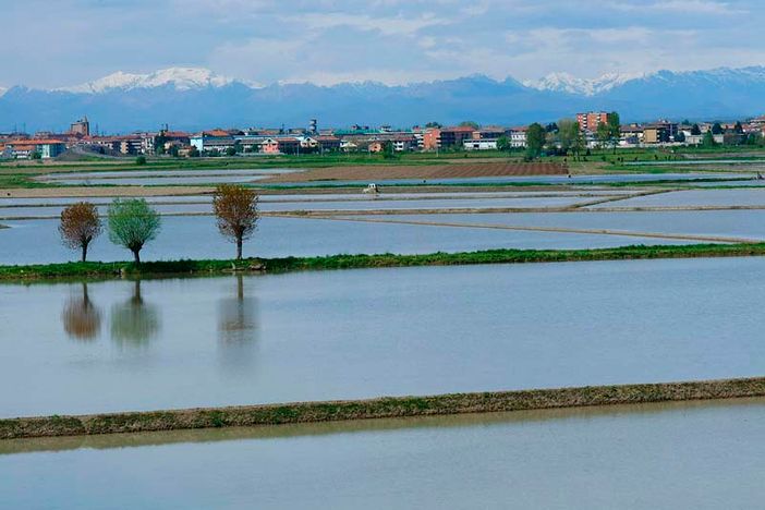 Il clima pazzo penalizza le coltivazioni piemontesi, ma il colpo di grazia arriva dall'inflazione