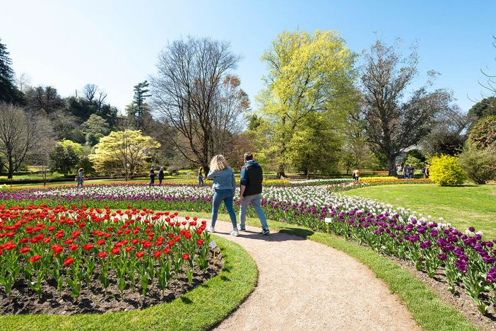 Villa Taranto: giardini aperti nel fine settimana, ma attenzione al meteo