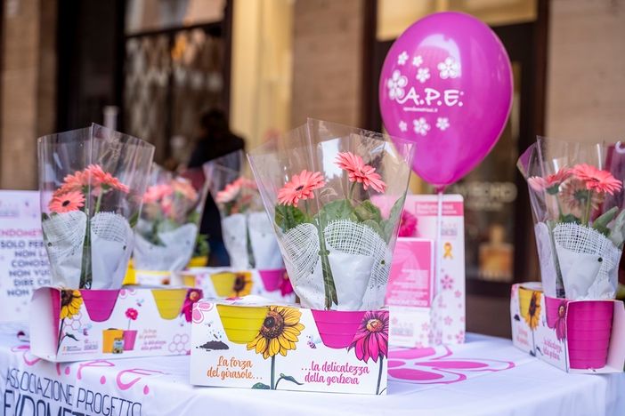 Tornano a Verbania i "Fiori della consapevolezza" contro l'endometriosi