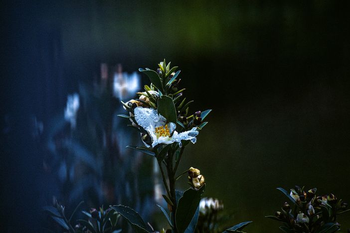 "Quasi Paesaggi": l'arte fotografica di Romina Emili "Quasi Paesaggi": l'arte fotografica di Romina Emili