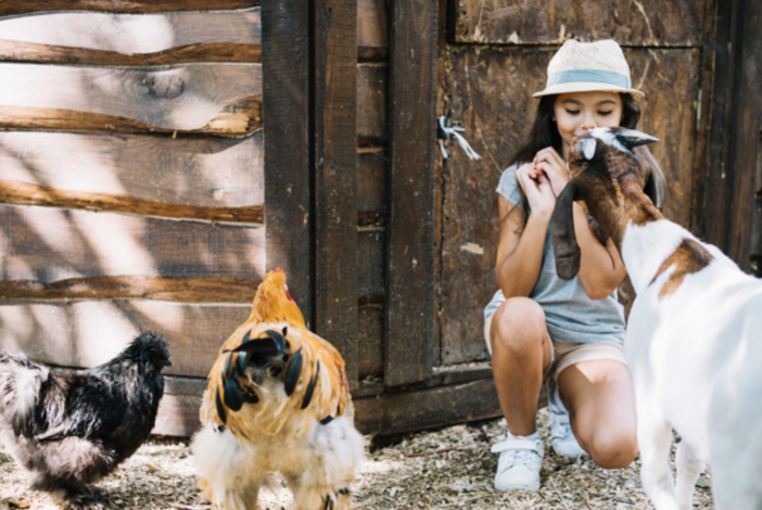 Nuovo regolamento regionale per le fattorie didattiche piemontesi