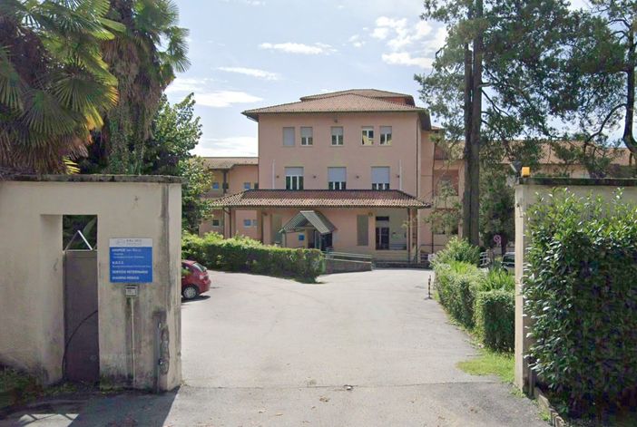 Hospice in Piemonte, Icardi: "253 posti letto operativi, ma è previsto un ulteriore incremento" Hospice in Piemonte, Icardi: "253 posti letto operativi, ma è previsto un ulteriore incremento"