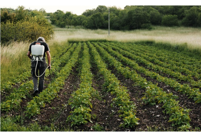 Al via il bando per il servizio civile in agricoltura