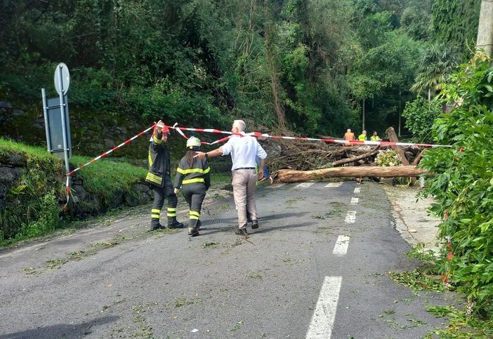 Cannobio: primo sopralluogo geologico dopo la frana di Traffiume FOTO Cannobio: primo sopralluogo geologico dopo la frana di Traffiume FOTO