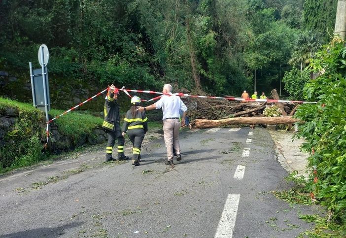 Riaperta a senso unico alternato la statale della Valle Cannobina Riaperta a senso unico alternato la statale della Valle Cannobina
