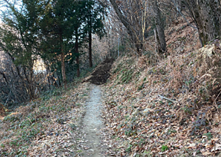 Grazie all'iniziativa di cinque cittadini rinasce il sentiero Borca-Crabbia Grazie all'iniziativa di cinque cittadini rinasce il sentiero Borca-Crabbia