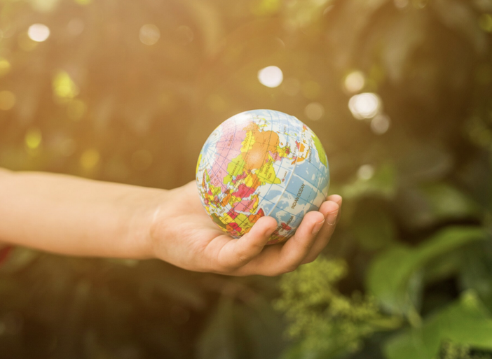 Clima, per Coldiretti Piemonte il 2023 è stato l'anno più bollente di sempre Clima, per Coldiretti Piemonte il 2023 è stato l'anno più bollente di sempre