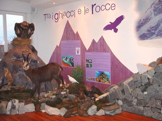 Trarego Viggiona, sabato una “Notte al Museo” dedicata ai più piccoli