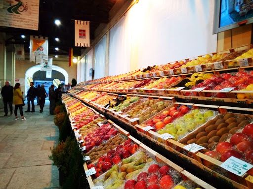 Le temperature sotto zero mettono a dura prova le colture piemontesi Le temperature sotto zero mettono a dura prova le colture piemontesi