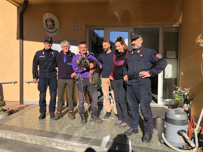 Disperso in Val Grande: ritrovato vivo nei boschi il cane dell'escursionista varesino Disperso in Val Grande: ritrovato vivo nei boschi il cane dell'escursionista varesino