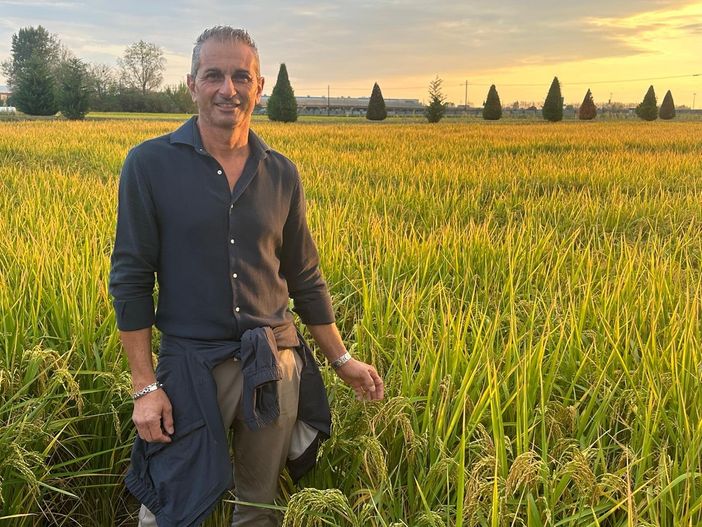Deflusso ecologico rinviato al 2026: esultano gli agricoltori di Novara, Vco e Vercelli Deflusso ecologico rinviato al 2026: esultano gli agricoltori di Novara, Vco e Vercelli