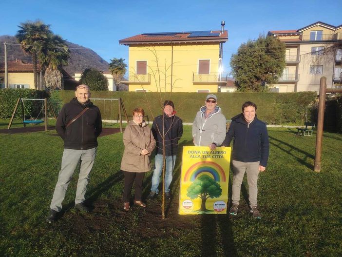 Movimento 5 Stelle Vco, si è conclusa l'iniziativa "Dona un albero alla tua città"