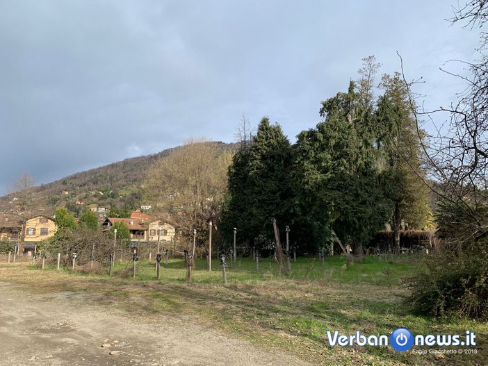 Verbania, Pd: “Incredibile la posizione della Lega sul nuovo supermercato nell’area Hillebrand” Verbania, Pd: “Incredibile la posizione della Lega sul nuovo supermercato nell’area Hillebrand”