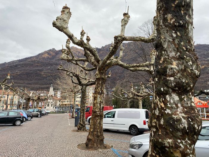 Omegna si fa più bella per ospitare la delegazione di Pornic