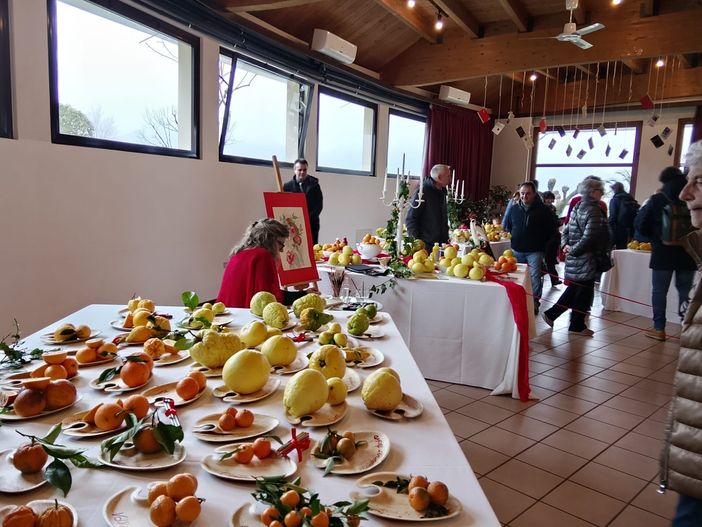Cannero Riviera, gli Agrumi aprono la stagione turistica 2026 sul Lago Maggiore