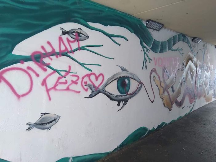 Svastiche e scritte sui muri di Verbania: un lettore scrive a VcoNews Svastiche e scritte sui muri di Verbania: un lettore scrive a VcoNews