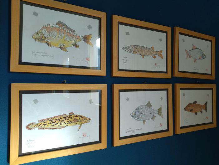 Il viaggio della cultura di Rodari e del Lago d'Orta attraverso l'Italia Il viaggio della cultura di Rodari e del Lago d'Orta attraverso l'Italia