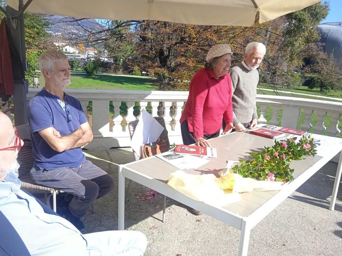 Salta l'annuale mostra della camelia invernale, ma aprono le porte di parchi e vivai Salta l'annuale mostra della camelia invernale, ma aprono le porte di parchi e vivai