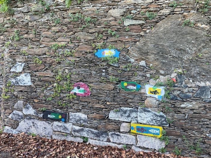 Lungo la Selasca sono spuntate nuove creazioni fantastiche