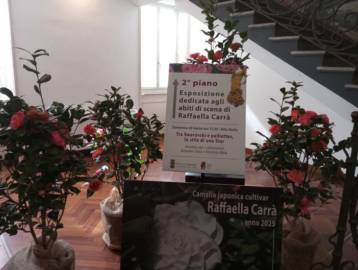 Successo di pubblico per la 57ª edizione della Mostra della Camelia di Verbania