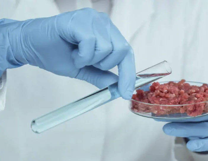 No al cibo sintetico, Coldiretti Novara-Vco: &quot;Ci accusano di coltivare ignoranza&quot;