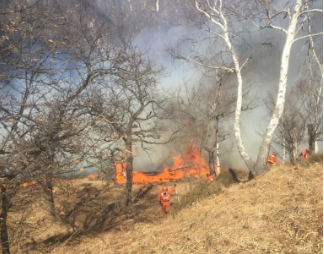Incendio sopra Ornavasso, Fulgosi: “Chiunque abbia notizie o abbia visto la partenza delle fiamme è pregato di contattarmi” Incendio sopra Ornavasso, Fulgosi: “Chiunque abbia notizie o abbia visto la partenza delle fiamme è pregato di contattarmi”