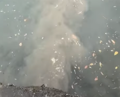 Lungolago di Omegna sotto controllo dopo segnalazioni di inquinamento VIDEO Lungolago di Omegna sotto controllo dopo segnalazioni di inquinamento VIDEO