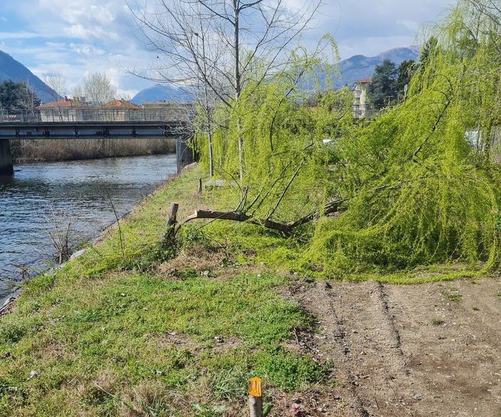 Atti vandalici alla foce del San Giovanni: "Un'offesa ai cittadini e al denaro pubblico investito per la riqualificazione" Atti vandalici alla foce del San Giovanni: "Un'offesa ai cittadini e al denaro pubblico investito per la riqualificazione"