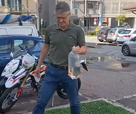 Promessa mantenuta: il sindaco Morandi libera pesci rossi nella fontana di Piazza Resistenza VIDEO Promessa mantenuta: il sindaco Morandi libera pesci rossi nella fontana di Piazza Resistenza VIDEO