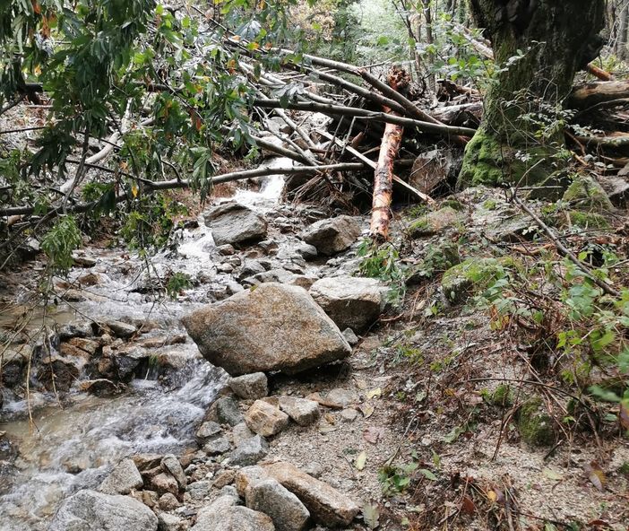 Gravellona, via libera ai lavori di messa in sicurezza dopo l'alluvione del 2020