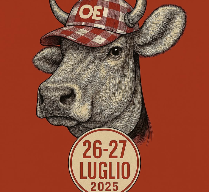 Al via sabato la seconda edizione di Ossola Express Al via sabato la seconda edizione di Ossola Express