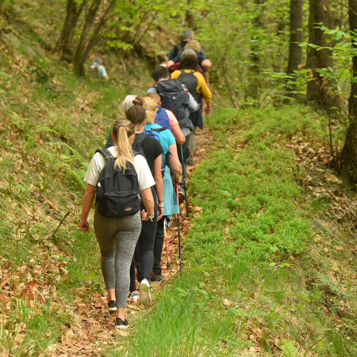 Ecomuseo del Lago d’Orta e Mottarone organizza la camminata Scopriamo Girolago Music Edition